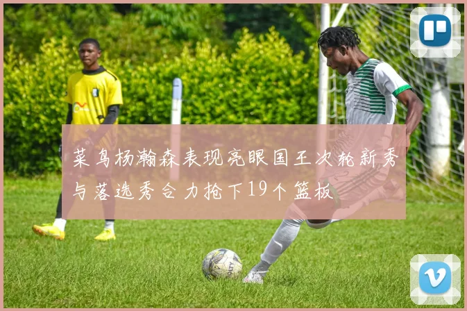 菜鸟杨瀚森表现亮眼国王次轮新秀与落选秀合力抢下19个篮板