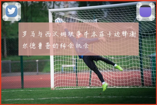 罗马与西汉姆联争夺本菲卡边锋谢尔德鲁普的转会机会