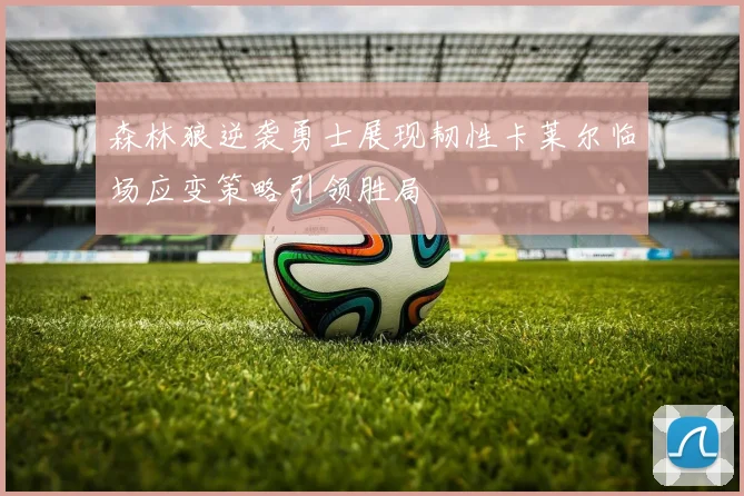 森林狼逆袭勇士展现韧性卡莱尔临场应变策略引领胜局